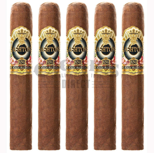Ashton Esg 21 Year Robusto 5 Pack 