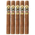 Ashton Esg 23 Year Toro 5 Pack 