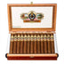 Ashton Esg 23 Year Toro Box Open 