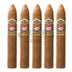 Ashton Heritage Puro Sol Belicoso No2 5 Pack 