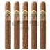 Ashton Vsg Eclipse Tubo 5 Pack 