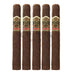 Ashton Vsg Robusto 5 Pack 