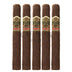 Ashton Vsg Robusto 5 Pack 