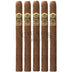 Ashton Vsg Sorcerer 5 Pack 