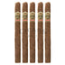 Ashton Vsg Spellbound 5 Pack 