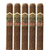 Ashton Vsg Tres Mystique 5 Pack 