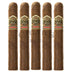 Ashton Vsg Wizard 5 Pack 