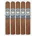 Asylum 10 7x70 Gordo 5 bPack