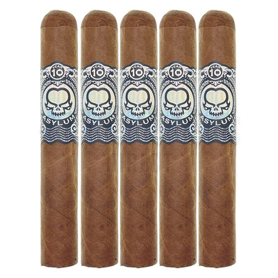 Asylum 10 7x70 Gordo 5 bPack