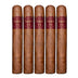 Asylum 13 Authentic Corojo Robusto 5 Pack