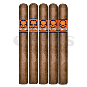 Asylum Insidious Habano 643 5 Pack