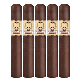 Asylum Insidious Maduro 550 5 Pack