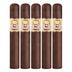 Asylum Insidious Maduro 550 5 Pack