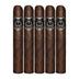 Asylum Nyctophilia Fifty 5 Pack