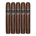 Asylum Nyctophilia Sixty 5 Pack