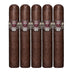 Asylum Original Mini Corona 5 Pack