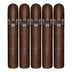 Asylum Original Sixty Seven 5 Pack