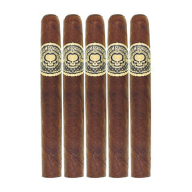Asylum Sensorium 11/18 Perfecto 5 Pack