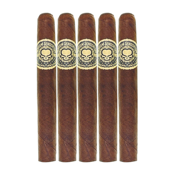 Asylum Sensorium 11/18 Perfecto 5 Pack
