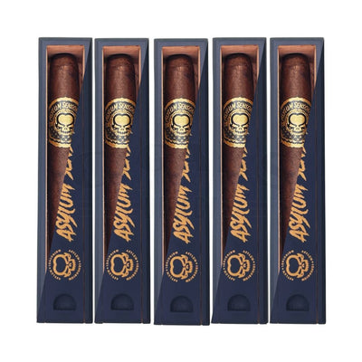 Asylum Sensorium 11/18 Perfecto in Coffin 5 Pack