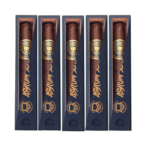 Asylum Sensorium 11/18 Perfecto in Coffin 5 Pack