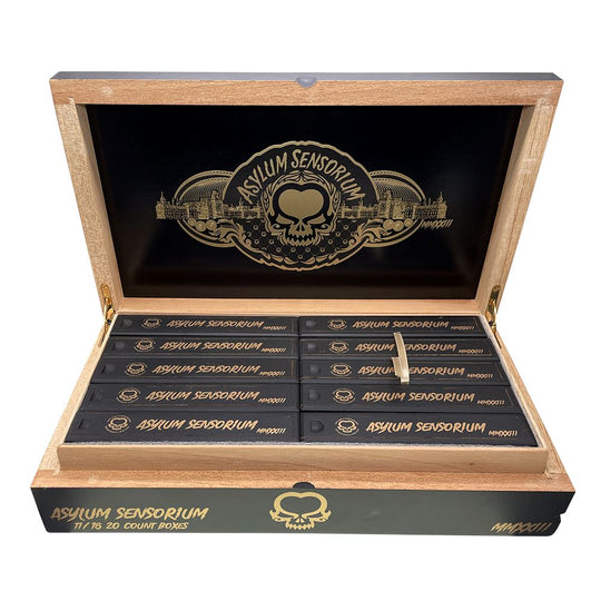 Asylum Sensorium 11/18 Perfecto