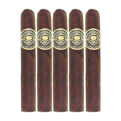 Asylum Sensorium 6x60 Gordo 5 Pack