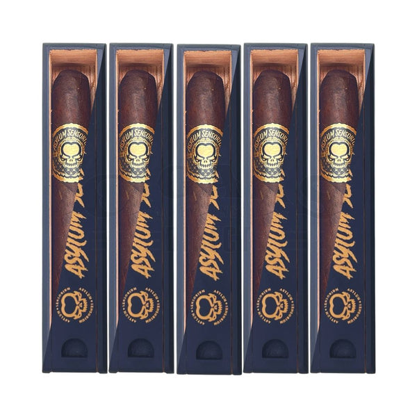 Asylum Sensorium 6x60 Gordo in Coffin 5 Pack