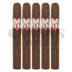 Asylum Straight Jacket Double Churchill 5 Pack