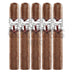 Asylum Straight Jacket Gordo 5 Pack