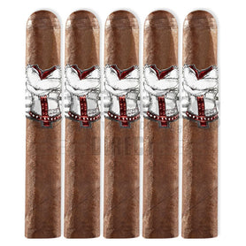 Asylum Straight Jacket Robusto 5 Pack