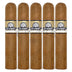 Atabey Divinos Short Robusto 5 Pack