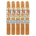 Ave Maria Immaculata Toro 5 Pack