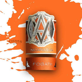 AVO Syncro Nicaragua Fogata Special Toro Band