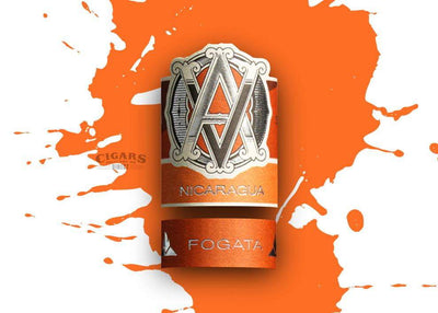 AVO Syncro Nicaragua Fogata Toro Band