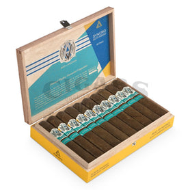 Avo Syncro South America Ritmo Robusto Open Box