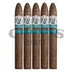 AVO Syncro Ritmo Torpedo Largo 5 Pack