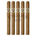 AVO XO Preludio 5 Pack