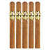Baccarat Original Luchadore 5 Pack