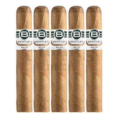 Bentley White Edition Robusto 5 Pack