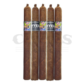 Black Works Studio Hyena Cameroon Lonsdale 5 Pack