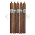 Black Works Studio Hyena Cameroon Lonsdale 5 Pack