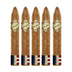Brick House Double Connecticut Short Torpedo 5 Pack