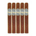 Caldwell Lost and Found Cream Machine Corona Extra 5 Pack