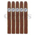 Caldwell Lost and Found Back Door Bambi Corona Gorda 5 Pack