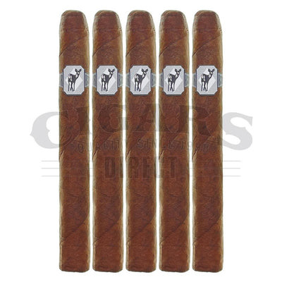 Caldwell Lost and Found Back Door Bambi Corona Gorda 5 Pack
