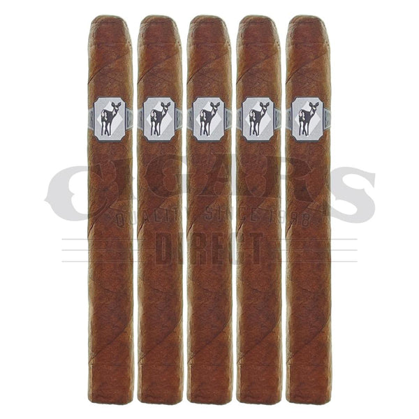 Caldwell Lost and Found Back Door Bambi Corona Gorda 5 Pack