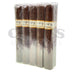 Caldwell Lost and Found Holy Braille Robusto Bundle of 10