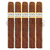 Caldwell Lost and Found Holy Braille Toro 5 Pack