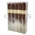 Caldwell Lost and Found Holy Braille Toro Bundle of 10
